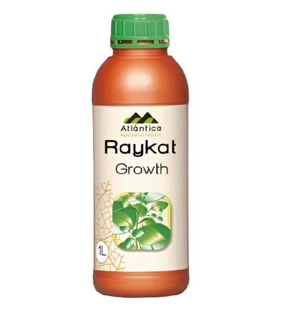 Райкат Развитие, Ж