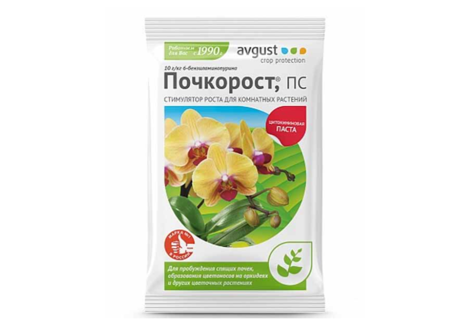 Почкорост