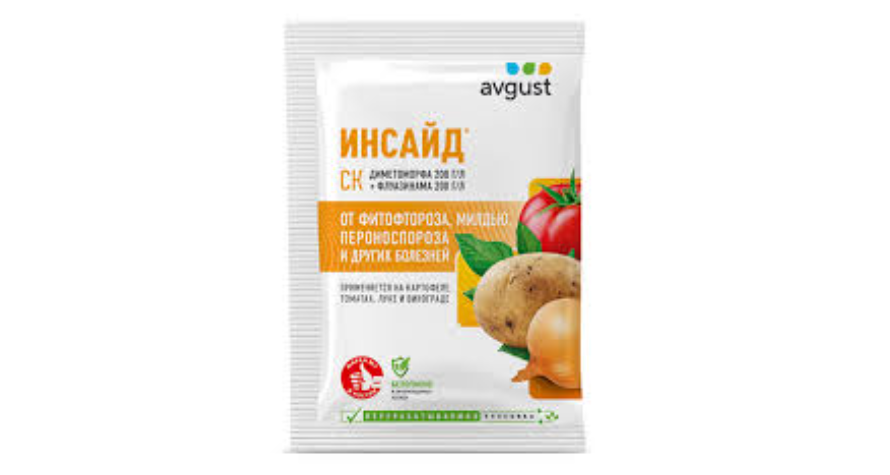Инсайд