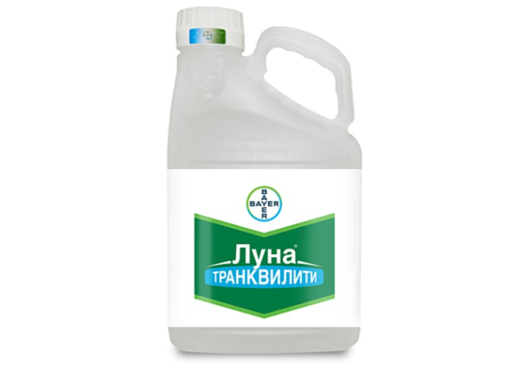 Луна Транквилити