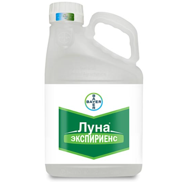 Луна Экспириенс