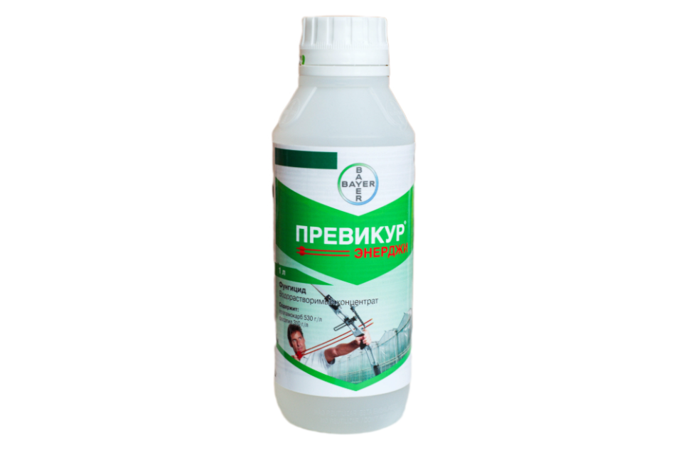 Превикур Энерджи