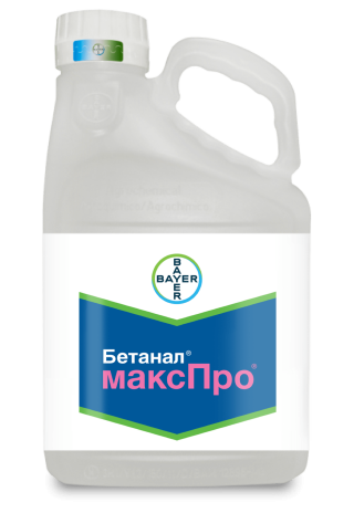 Бетанал Макс Про
