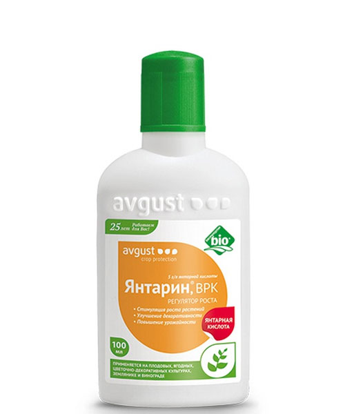Янтарин